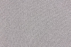 Gocce glitter su rete